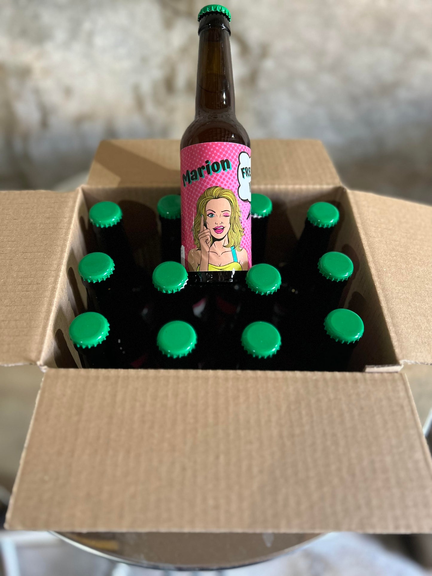 Bières IPA Marion 12X33cl