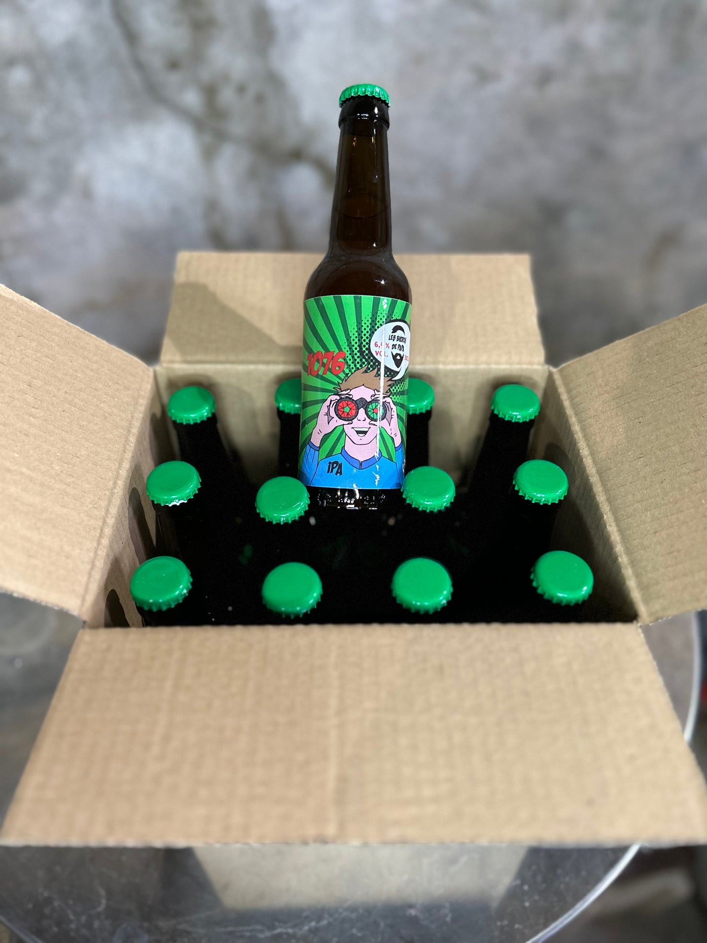 Bières IPA 1076 12x33cl